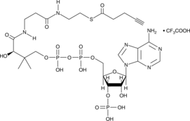 4-<wbr/>pentynoyl-<wbr/>Coenzyme A (trifluoroacetate salt)