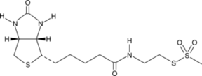 MTSEA-biotin