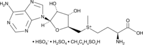 S-(5'-<wbr/>Adenosyl)-L-<wbr/>methionine (sulfate tosylate)