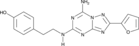 ZM 241385
