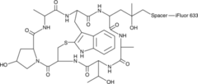 Phalloidin-<wbr/>iFluor™ 633 Conjugate