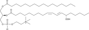 1-Palmitoyl-2-<wbr/>13(S)-HpODE-<em>sn</em>-<wbr/>glycero-3-PC