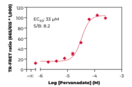 LCK (Phospho-Tyr<sup>394</sup>) TR-FRET Assay Kit