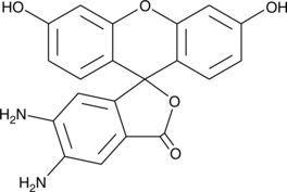 DAF-<wbr/>2